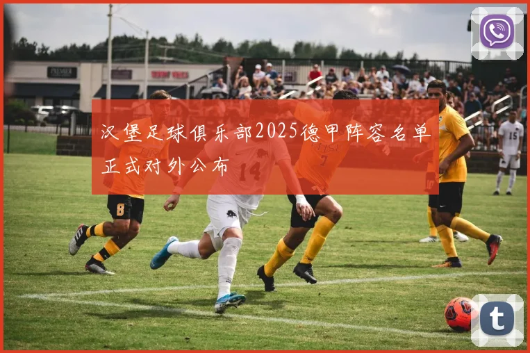 汉堡足球俱乐部2025德甲阵容名单正式对外公布